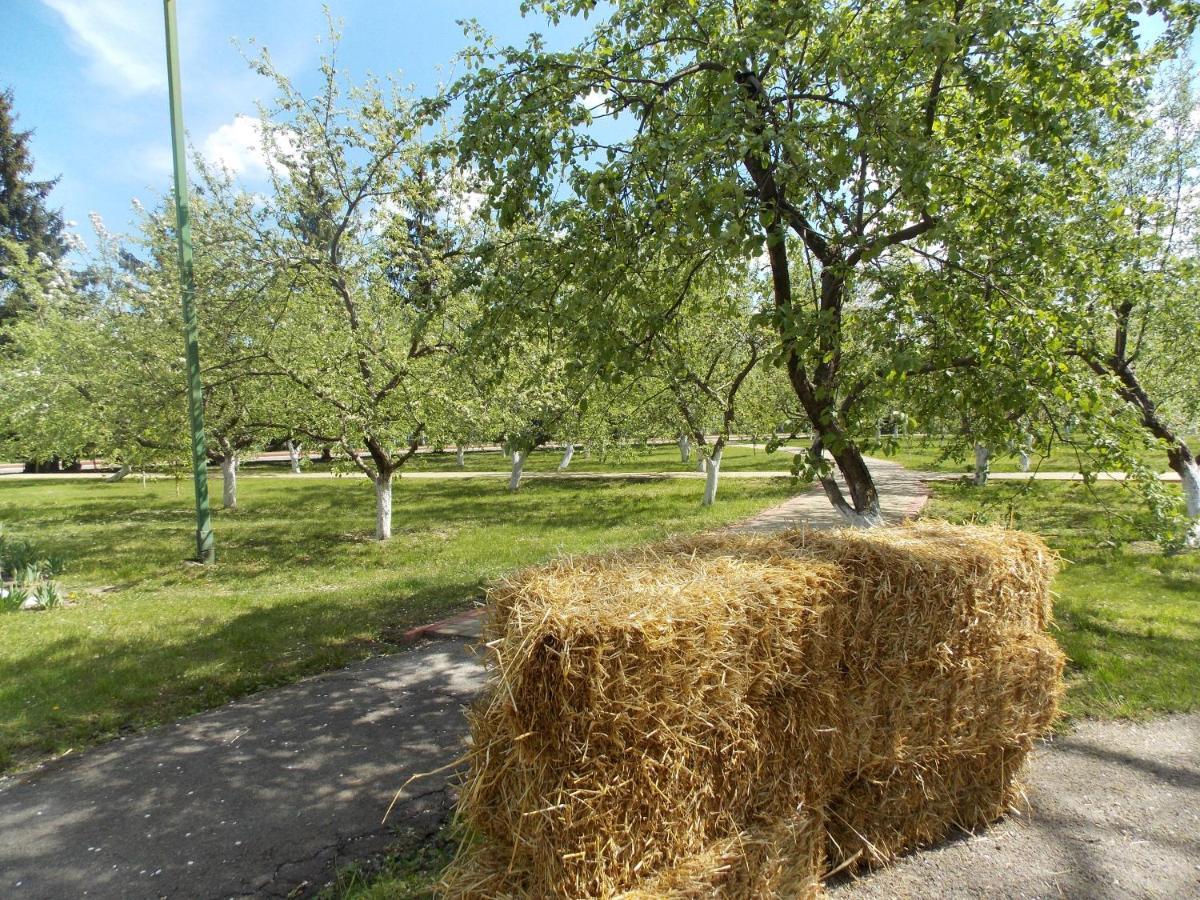 Dibrova Bila Tserkva Exterior foto