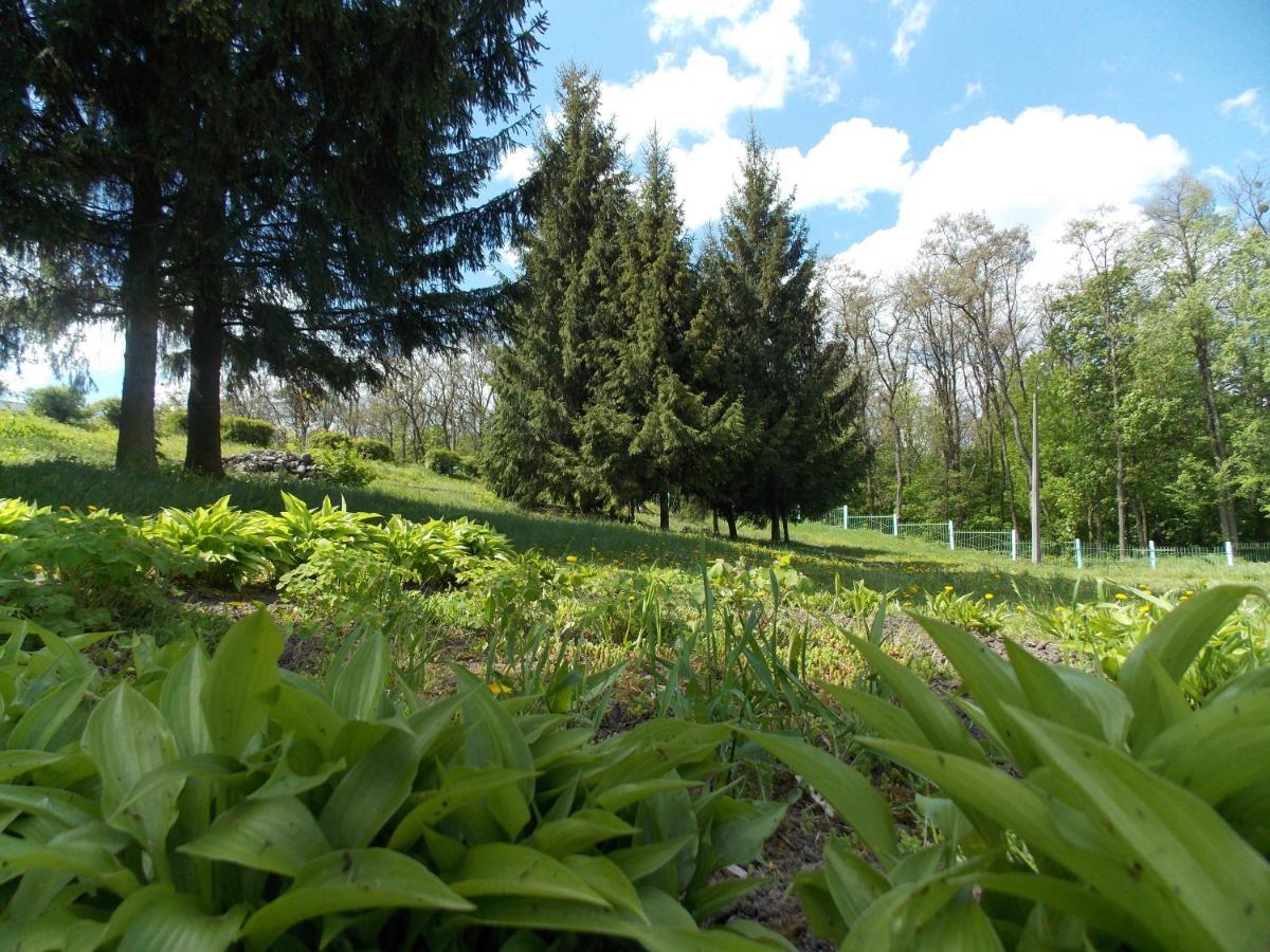 Dibrova Bila Tserkva Exterior foto